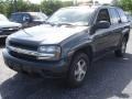 Dark Gray Metallic - TrailBlazer LS 4x4 Photo No. 1