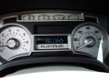 Medium Stone Leather/Sienna Brown Gauges Photo for 2010 Ford F150 #83407330