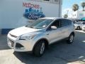 2014 Ingot Silver Ford Escape SE 1.6L EcoBoost  photo #1