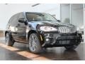 Black Sapphire Metallic 2013 BMW X5 xDrive 50i Exterior