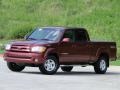 2004 Salsa Red Pearl Toyota Tundra Limited Double Cab  photo #6