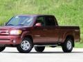 2004 Salsa Red Pearl Toyota Tundra Limited Double Cab  photo #28