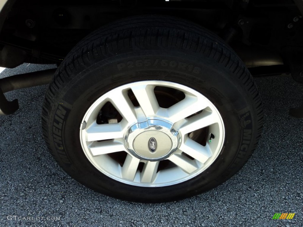 2004 F150 Lariat SuperCrew - Arizona Beige Metallic / Tan photo #4