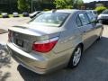 Platinum Bronze Metallic - 5 Series 535xi Sedan Photo No. 5