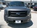 2013 Sterling Gray Metallic Ford F150 FX2 SuperCrew  photo #8