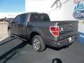 Sterling Gray Metallic - F150 XLT SuperCrew Photo No. 32