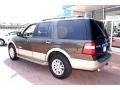 2008 Stone Green Metallic Ford Expedition Eddie Bauer 4x4  photo #2