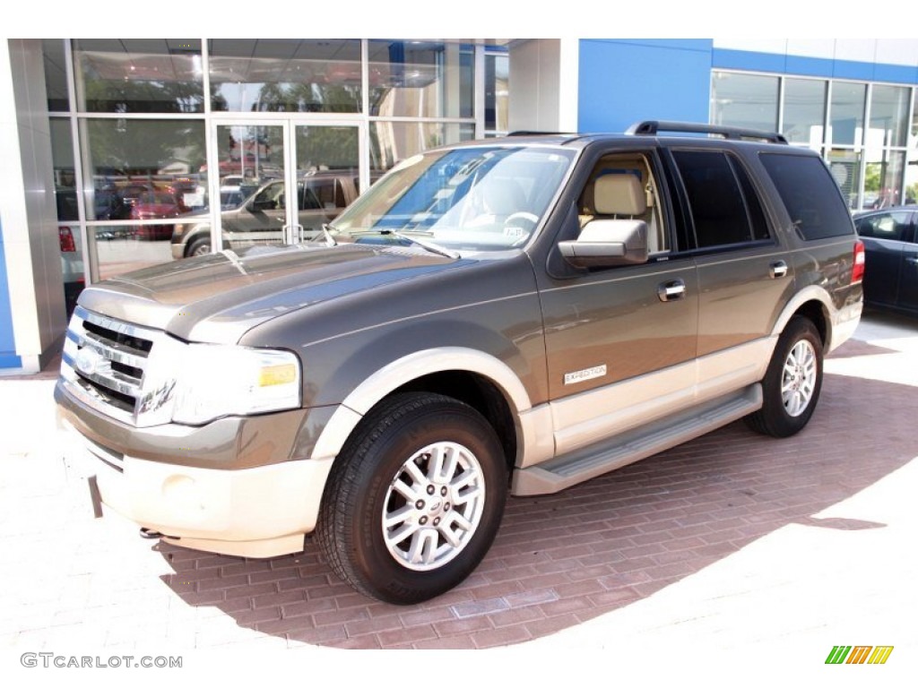 2008 Expedition Eddie Bauer 4x4 - Stone Green Metallic / Camel photo #10
