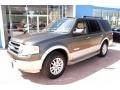 2008 Stone Green Metallic Ford Expedition Eddie Bauer 4x4  photo #10