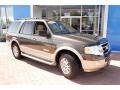 2008 Stone Green Metallic Ford Expedition Eddie Bauer 4x4  photo #12