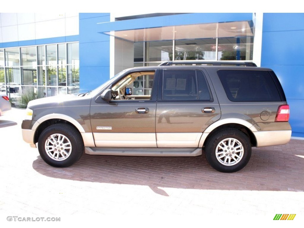 2008 Expedition Eddie Bauer 4x4 - Stone Green Metallic / Camel photo #13