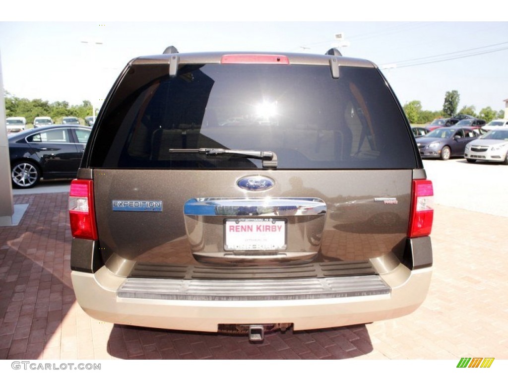 2008 Expedition Eddie Bauer 4x4 - Stone Green Metallic / Camel photo #14