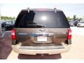 2008 Stone Green Metallic Ford Expedition Eddie Bauer 4x4  photo #14