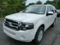 White Platinum Tri-Coat - Expedition Limited 4x4 Photo No. 5