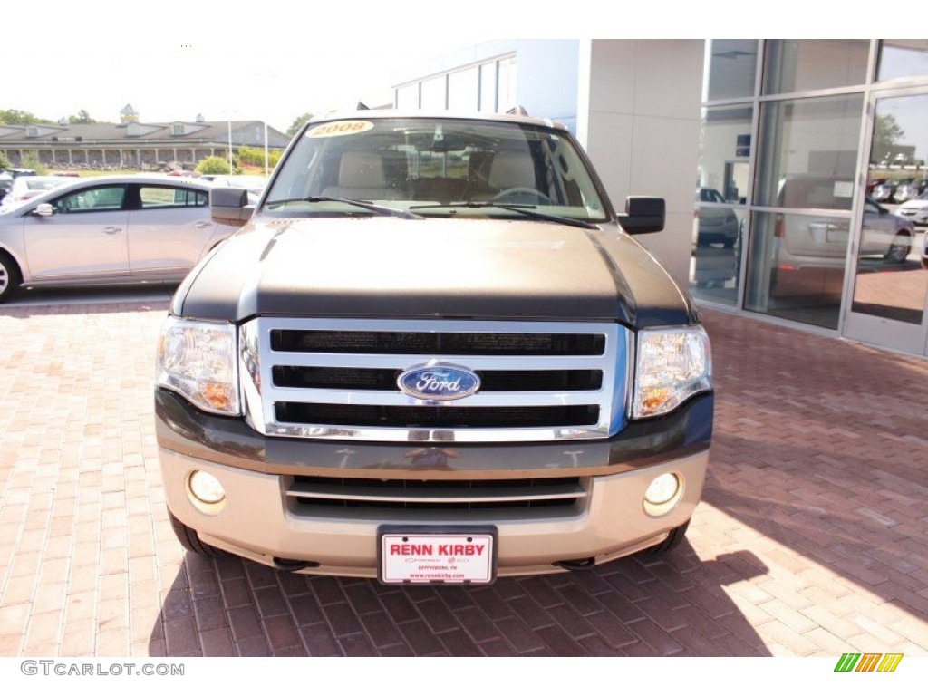 2008 Expedition Eddie Bauer 4x4 - Stone Green Metallic / Camel photo #15