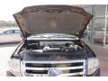 2008 Stone Green Metallic Ford Expedition Eddie Bauer 4x4  photo #16