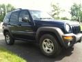 Patriot Blue Pearl - Liberty Sport 4x4 Photo No. 4