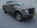 Sterling Gray Metallic - F150 FX4 SuperCrew 4x4 Photo No. 2