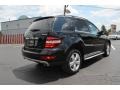 Obsidian Black Metallic - ML 350 4Matic Photo No. 5