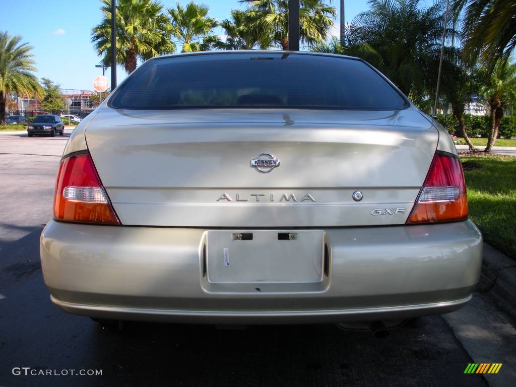 1999 Altima GXE - Champagne Metallic / Blond photo #7