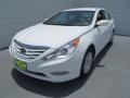 Shimmering White - Sonata GLS Photo No. 7