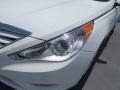 Shimmering White - Sonata GLS Photo No. 9