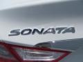 Shimmering White - Sonata GLS Photo No. 12