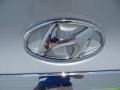 Radiant Silver - Sonata GLS Photo No. 13