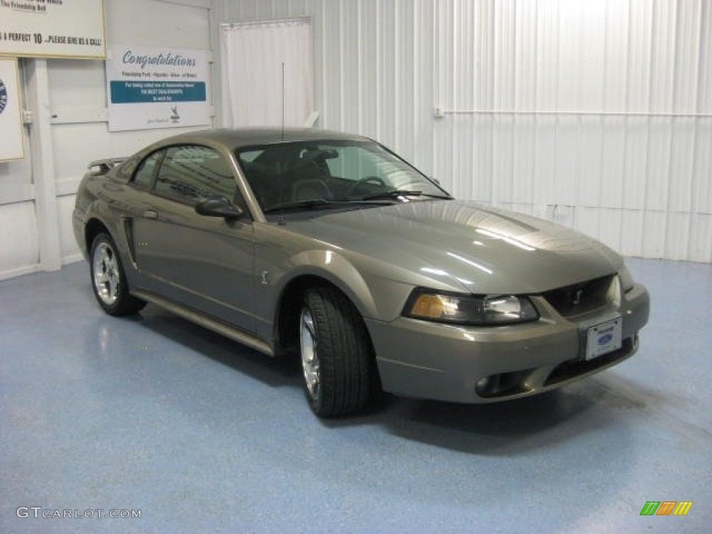 2001 Mineral Grey Metallic Ford Mustang Cobra Coupe