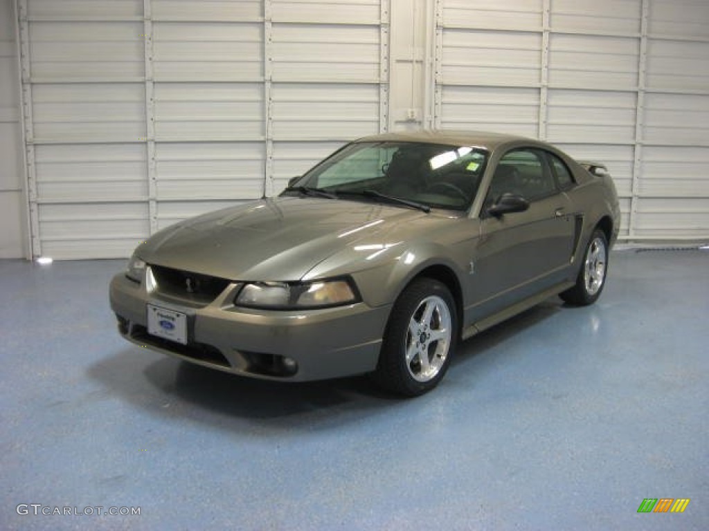 2001 Mustang Cobra Coupe - Mineral Grey Metallic / Dark Charcoal photo #3