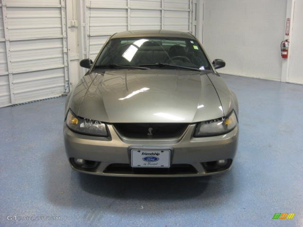 2001 Mustang Cobra Coupe - Mineral Grey Metallic / Dark Charcoal photo #4