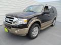 2013 Kodiak Brown Ford Expedition XLT  photo #7