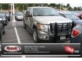 2010 Pueblo Gold Metallic Ford F150 XLT SuperCrew 4x4  photo #1