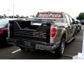 2010 Pueblo Gold Metallic Ford F150 XLT SuperCrew 4x4  photo #2