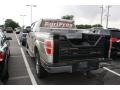2010 Pueblo Gold Metallic Ford F150 XLT SuperCrew 4x4  photo #3