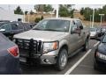 2010 Pueblo Gold Metallic Ford F150 XLT SuperCrew 4x4  photo #4