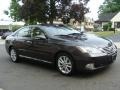 Truffle Brown Mica - ES 350 Photo No. 3