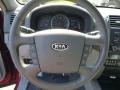 2009 Spicy Red Kia Borrego LX V6 4x4  photo #17