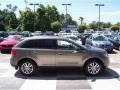 2013 Mineral Gray Metallic Ford Edge Limited EcoBoost  photo #3