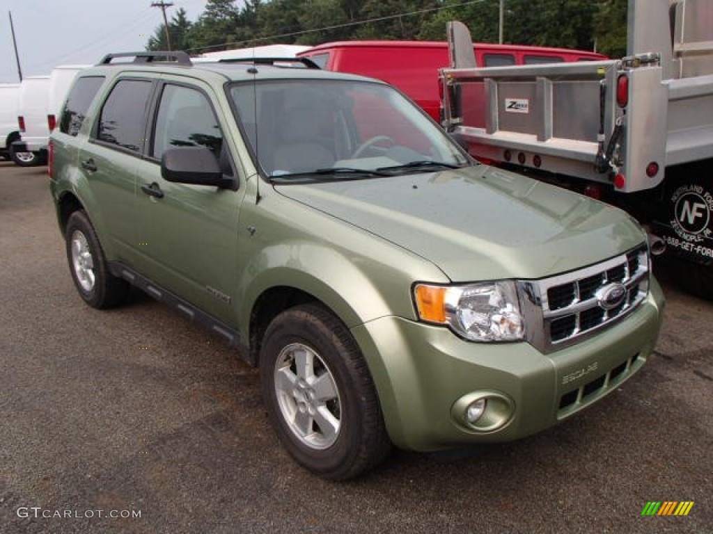 2008 Escape XLT V6 4WD - Kiwi Green Metallic / Stone photo #1