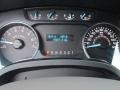 Pale Adobe Gauges Photo for 2012 Ford F150 #83469858