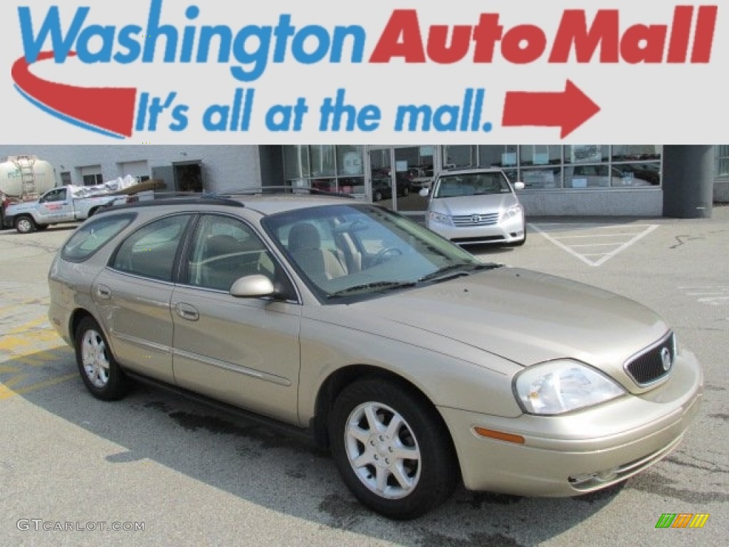 Harvest Gold Metallic Mercury Sable