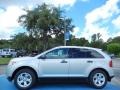 Ingot Silver Metallic 2013 Ford Edge SE EcoBoost Exterior