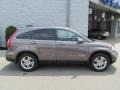 2010 Urban Titanium Metallic Honda CR-V EX-L AWD  photo #2