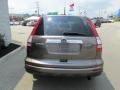 2010 Urban Titanium Metallic Honda CR-V EX-L AWD  photo #9