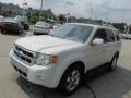2010 White Suede Ford Escape Limited  photo #5