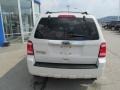 2010 White Suede Ford Escape Limited  photo #9
