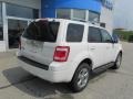 2010 White Suede Ford Escape Limited  photo #10