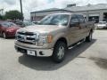 2013 Pale Adobe Metallic Ford F150 XLT SuperCrew 4x4  photo #1