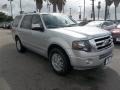 2013 Ingot Silver Ford Expedition Limited  photo #6